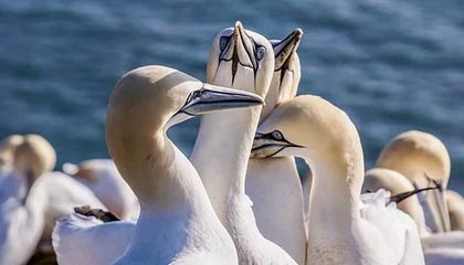 欣旺达股价微涨0.42% 708万股限制性股票上市流通