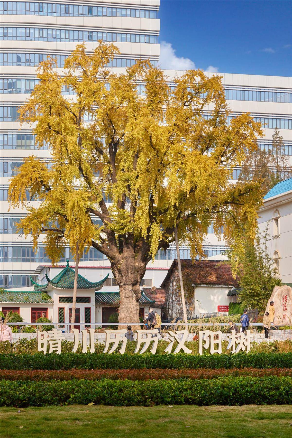 好房子，中海造，标配好学校