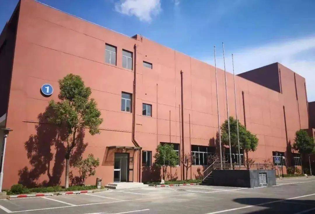 开学分层考，上海6月中考后补录齐官宣！