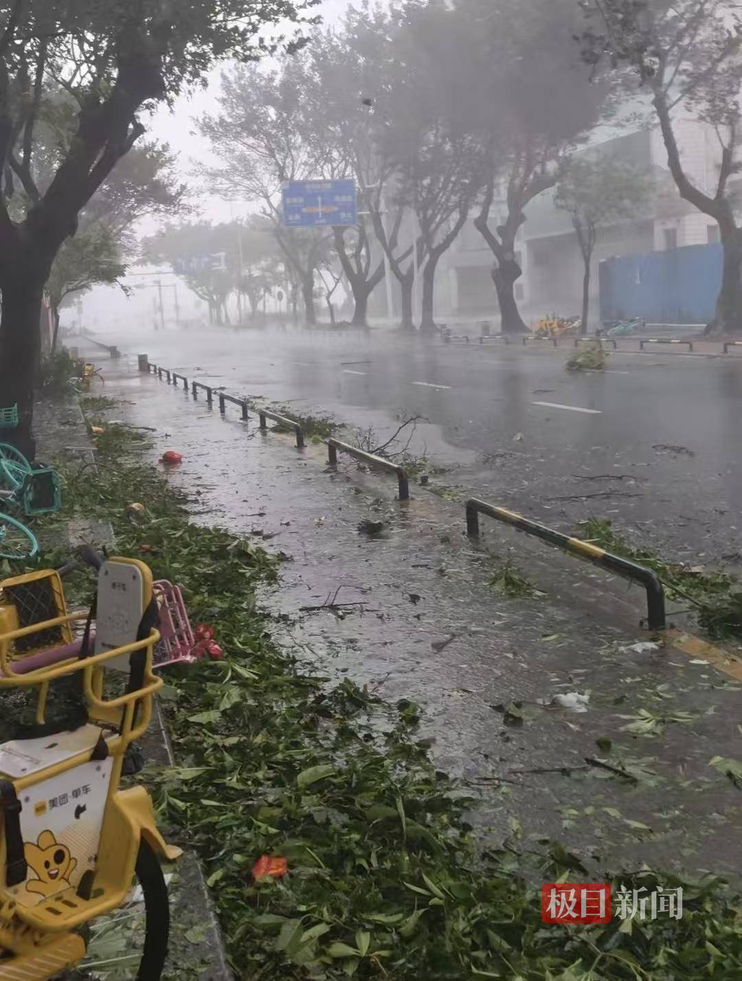 台风桦加沙袭击珠海:记者眼镜被大风吹跑,街边树枝断落,单车成排倒地