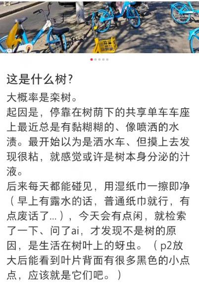 太恶心！上海街头大量出现！地上、车上、鞋上全都黏糊糊的！网友傻眼：根本擦不干净