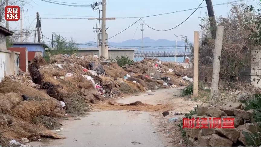 恶臭弥漫、垃圾围村!总台《财经调查》曝光多地违法倾倒乱象→