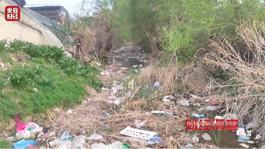 恶臭弥漫、垃圾围村!总台《财经调查》曝光多地违法倾倒乱象→
