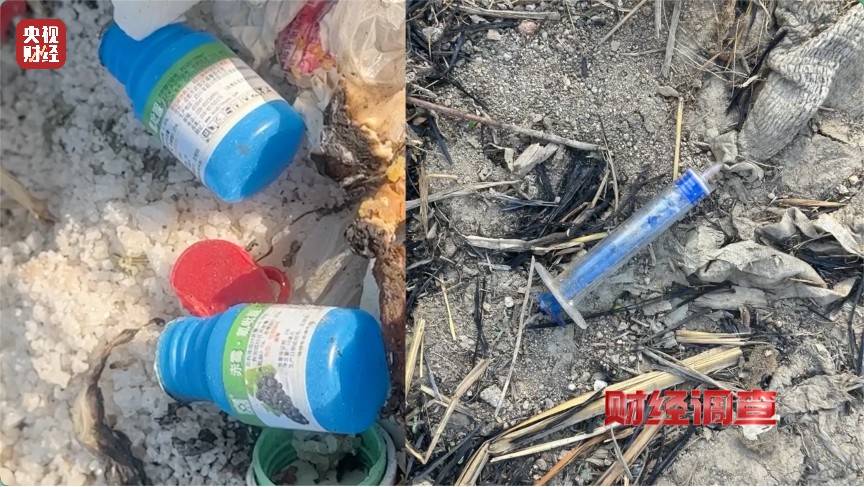 恶臭弥漫、垃圾围村!总台《财经调查》曝光多地违法倾倒乱象→