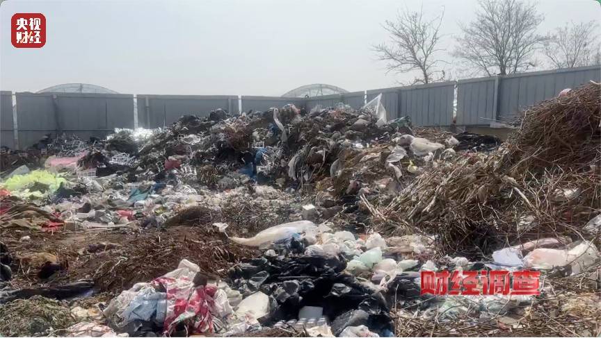 恶臭弥漫、垃圾围村!总台《财经调查》曝光多地违法倾倒乱象→
