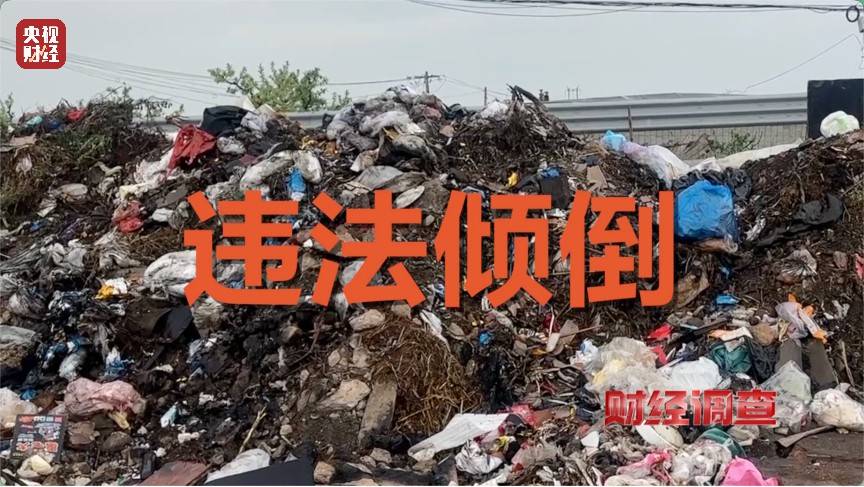 恶臭弥漫、垃圾围村!总台《财经调查》曝光多地违法倾倒乱象→