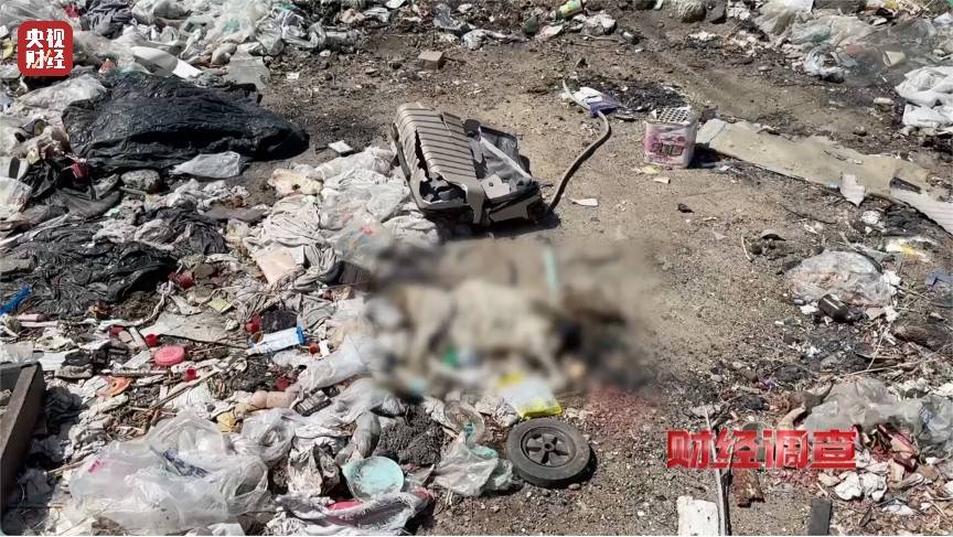 恶臭弥漫、垃圾围村!总台《财经调查》曝光多地违法倾倒乱象→
