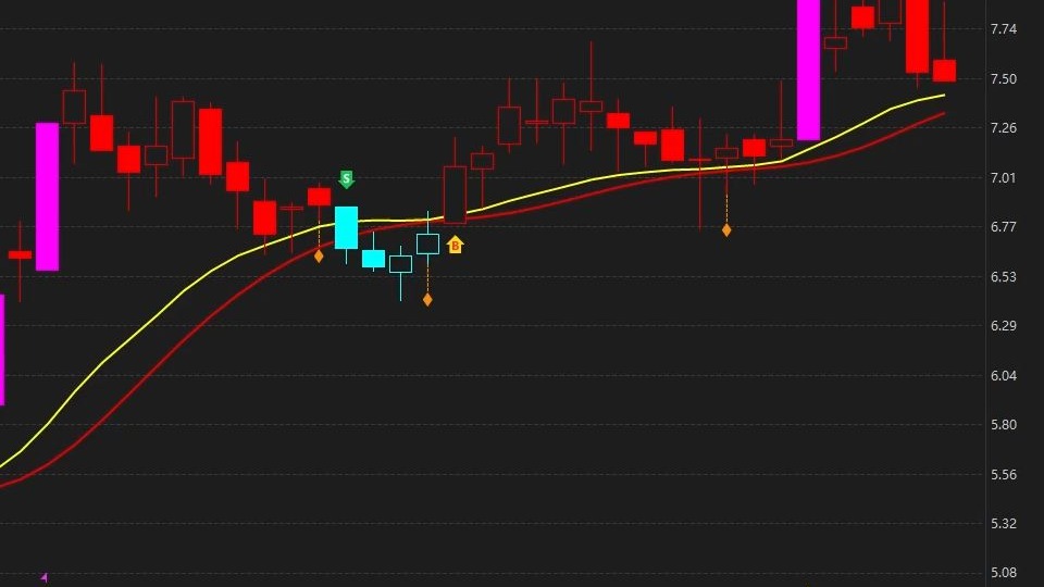 漳州发展股票(漳州发展股票价格)
