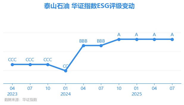 泰山石油股票(泰山石油股票代码)