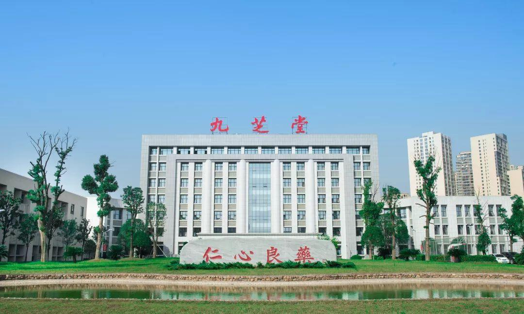 九芝堂股票(九芝堂股票行情查询)