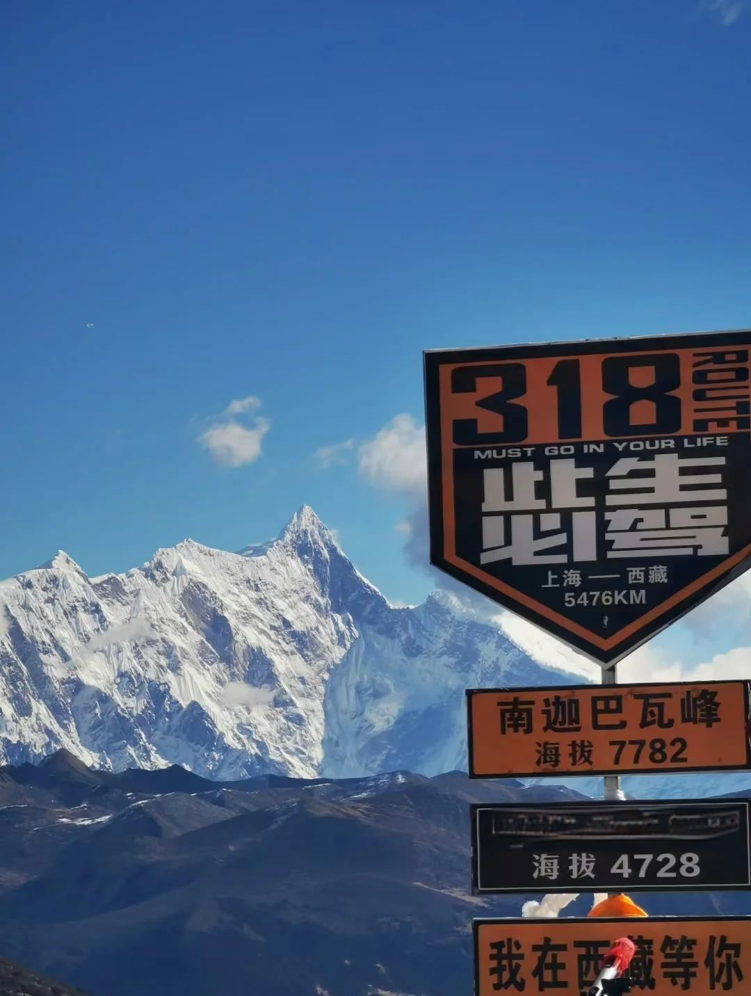 西藏旅游股票(西藏旅游股票会涨吗)